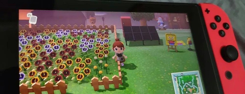 cc87505a0f6e443eb034ddede02634cd_11.jpg cc87505a0f6e443eb034ddede02634cd_11.jpg